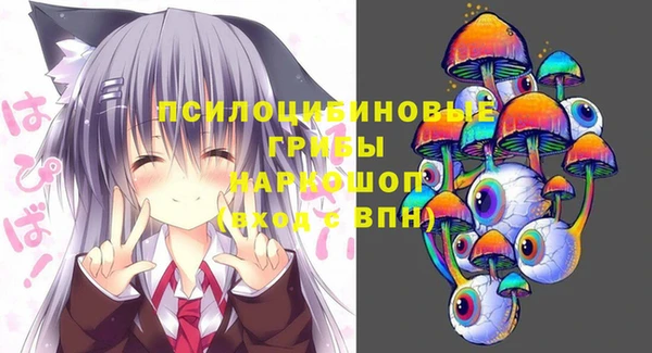 дурь Алзамай