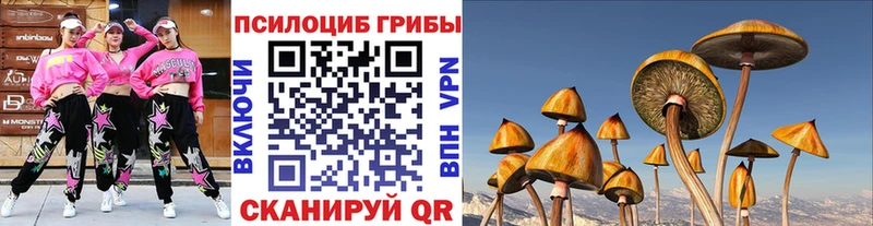 Галлюциногенные грибы MAGIC MUSHROOMS  где найти   Нолинск 